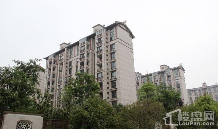 颐景苑皇都漫城实景图