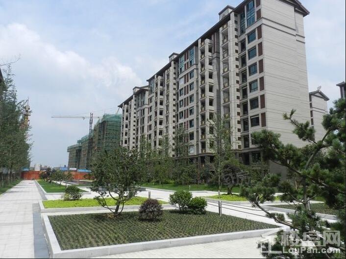 颐景苑皇都漫城实景图