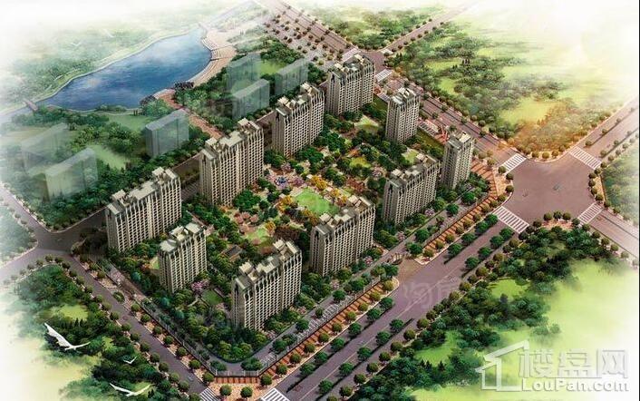 效果图
