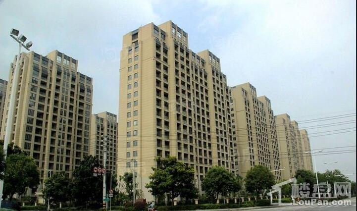 实景图