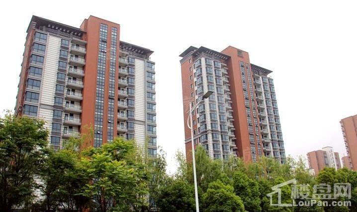 九龙湾树人园实景图