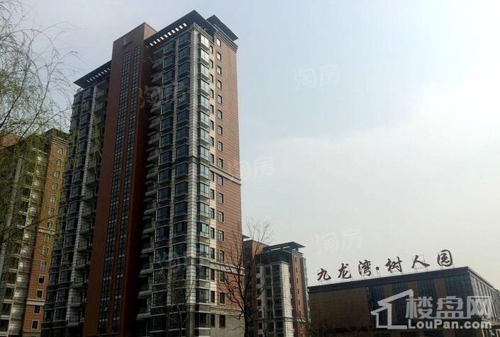 九龙湾树人园实景图