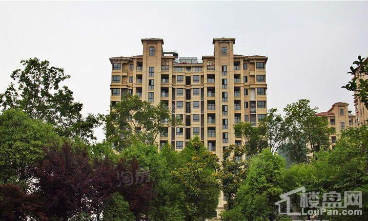 蓝爵庄园实景图