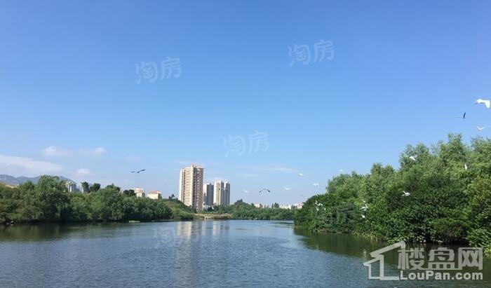 实景图