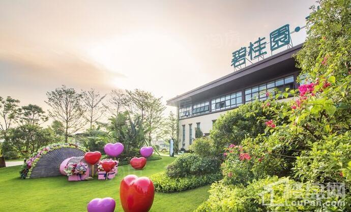 碧桂园太东天樾湾实景图