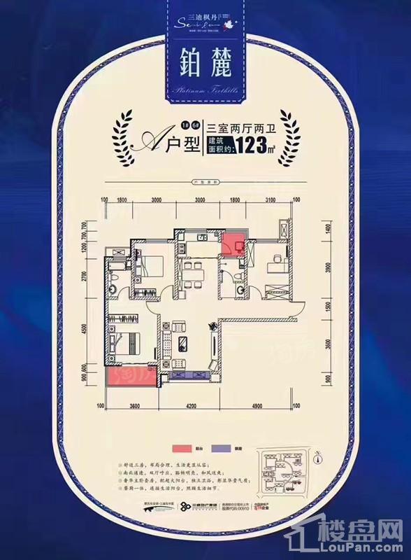 123户型