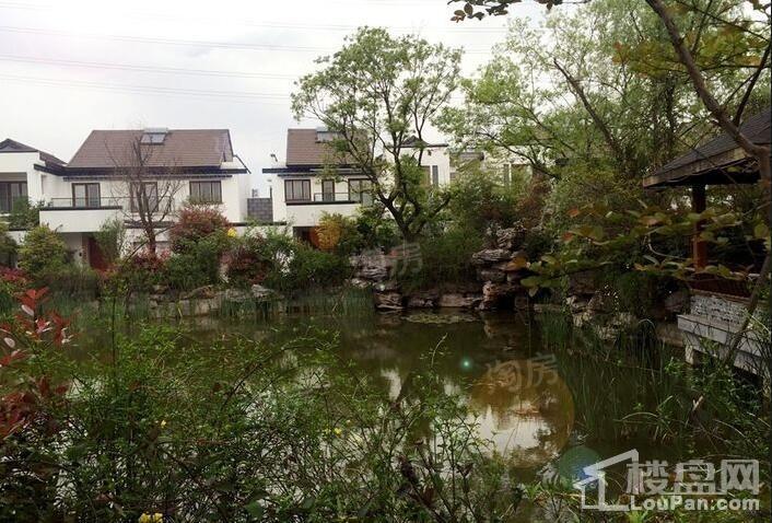 实景图