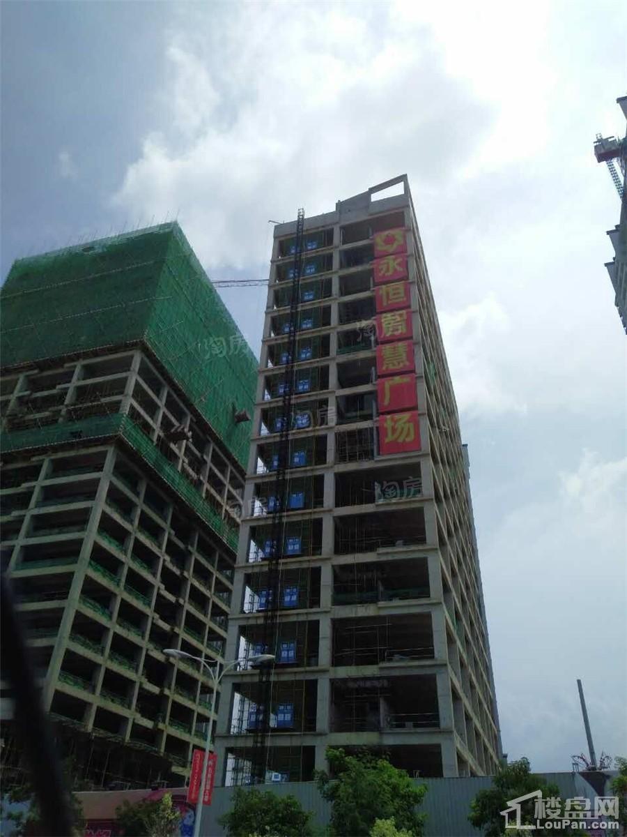 实景图