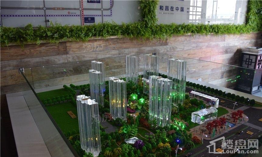 和昌香樟原著效果图