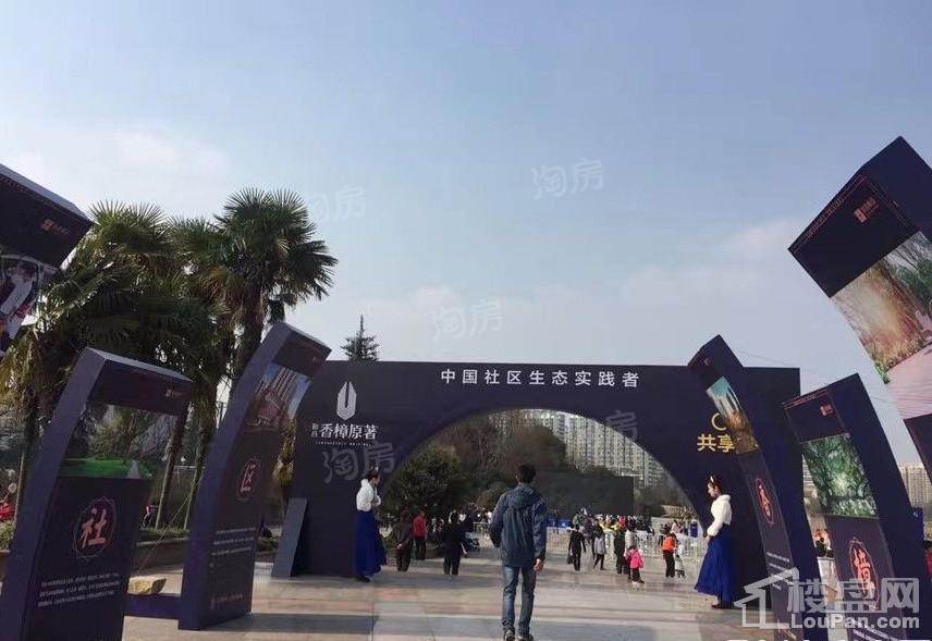 实景图