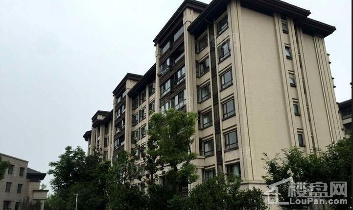 湖畔御景悦享家实景图
