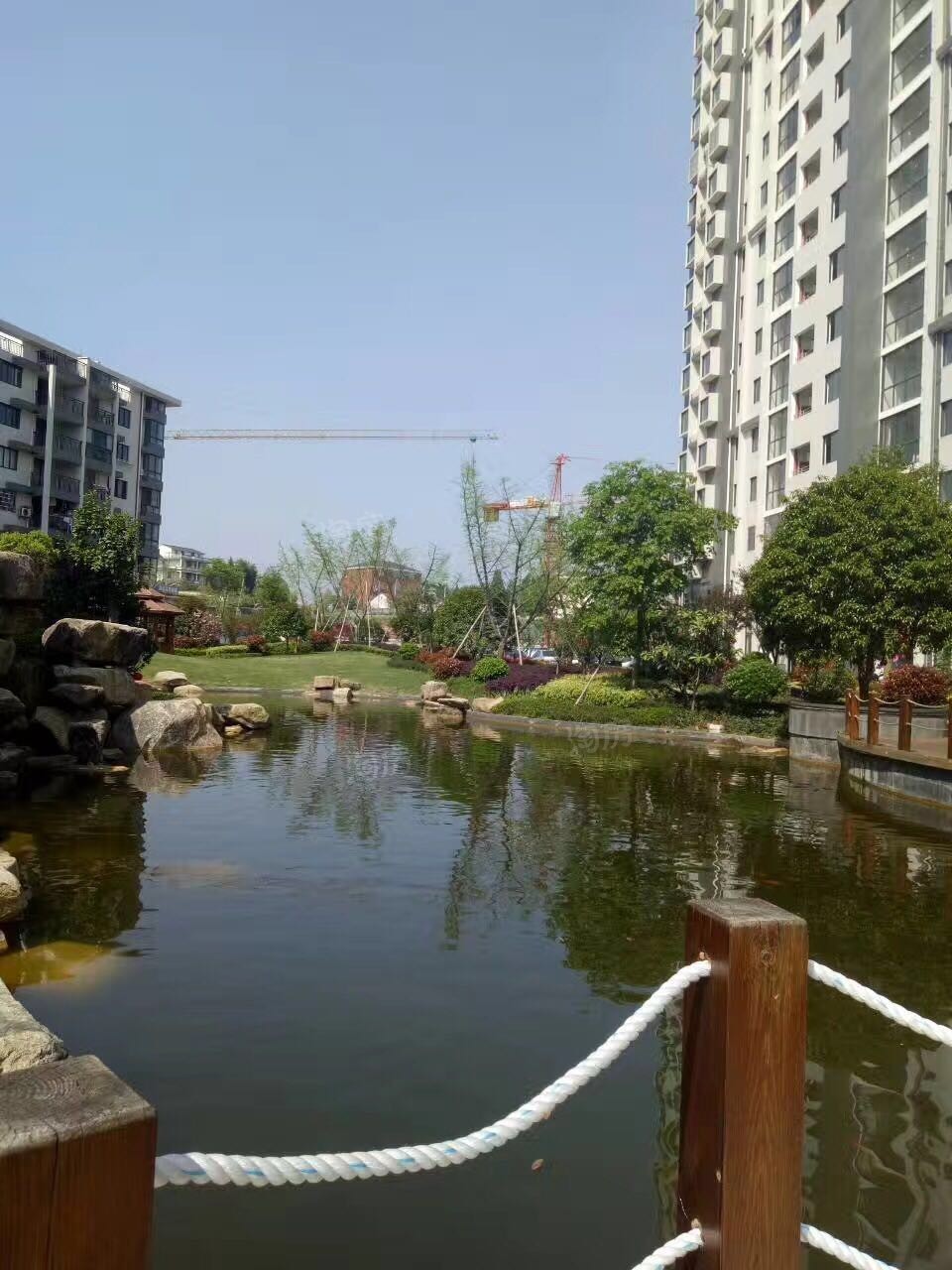 鸿泰豪苑实景图