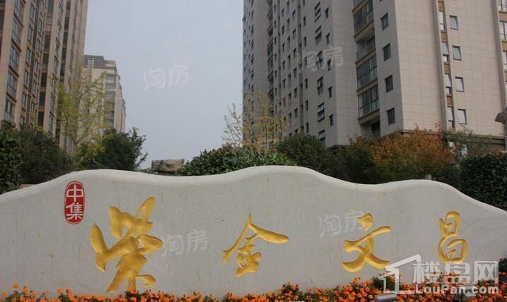 中集紫金文昌实景图
