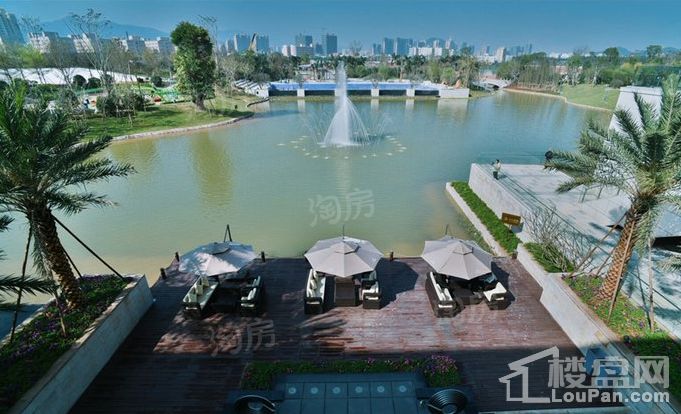 泰丰牧马湖实景图