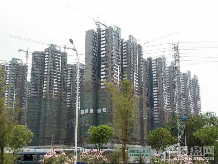 保利领秀前城实景图