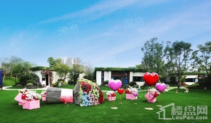 碧桂园·深荟城实景图