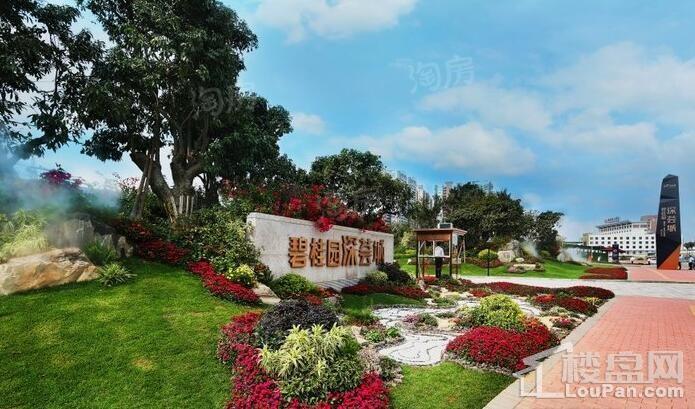碧桂园·深荟城实景图