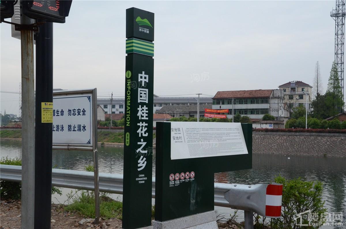 桂语山居配套图