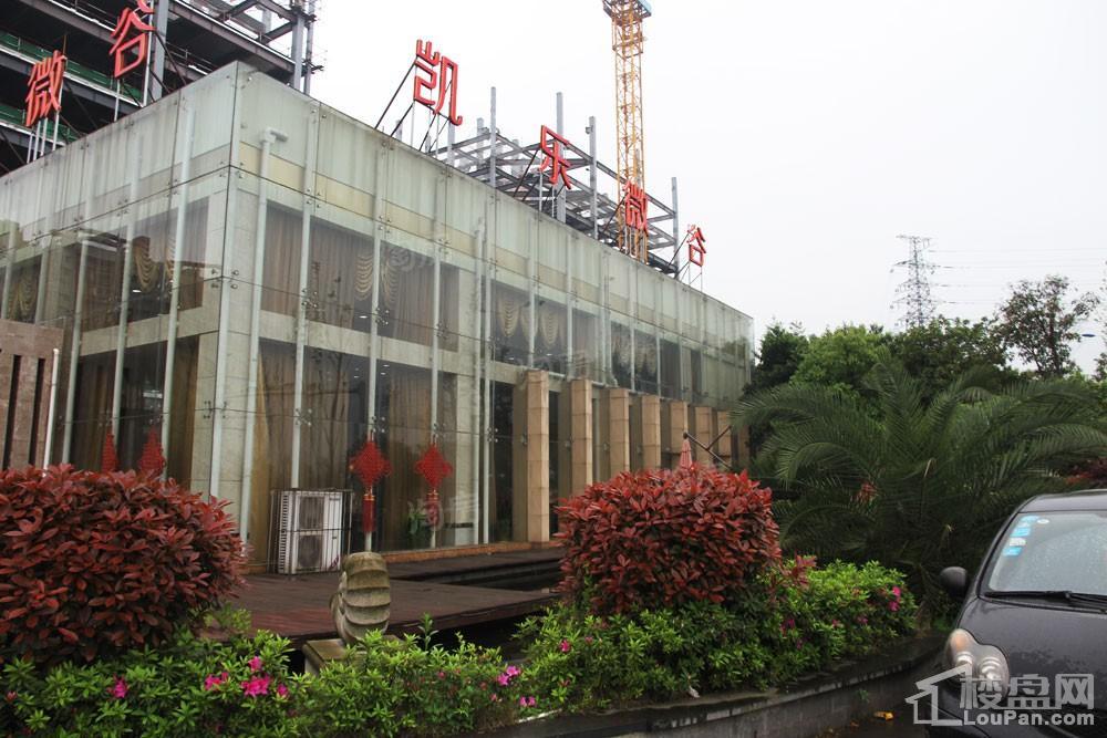 凯乐微谷实景图