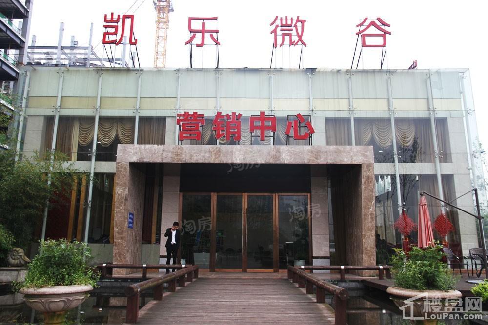 凯乐微谷实景图