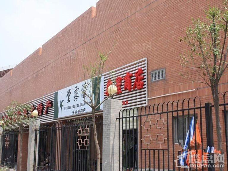 九境城配套图
