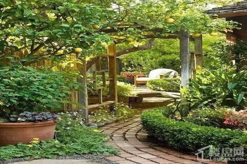 实景图