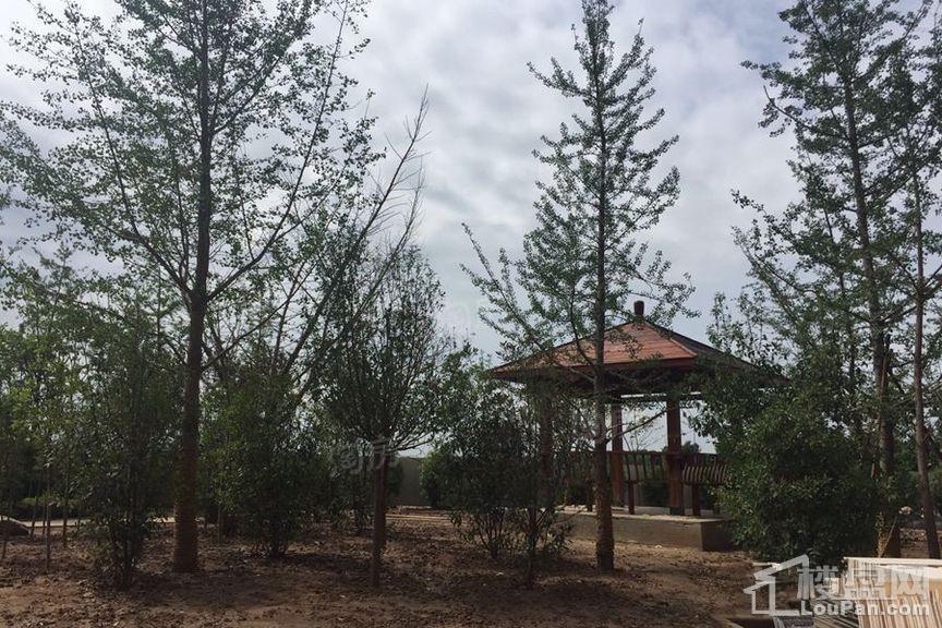 嘉园·蓝湖九郡实景图