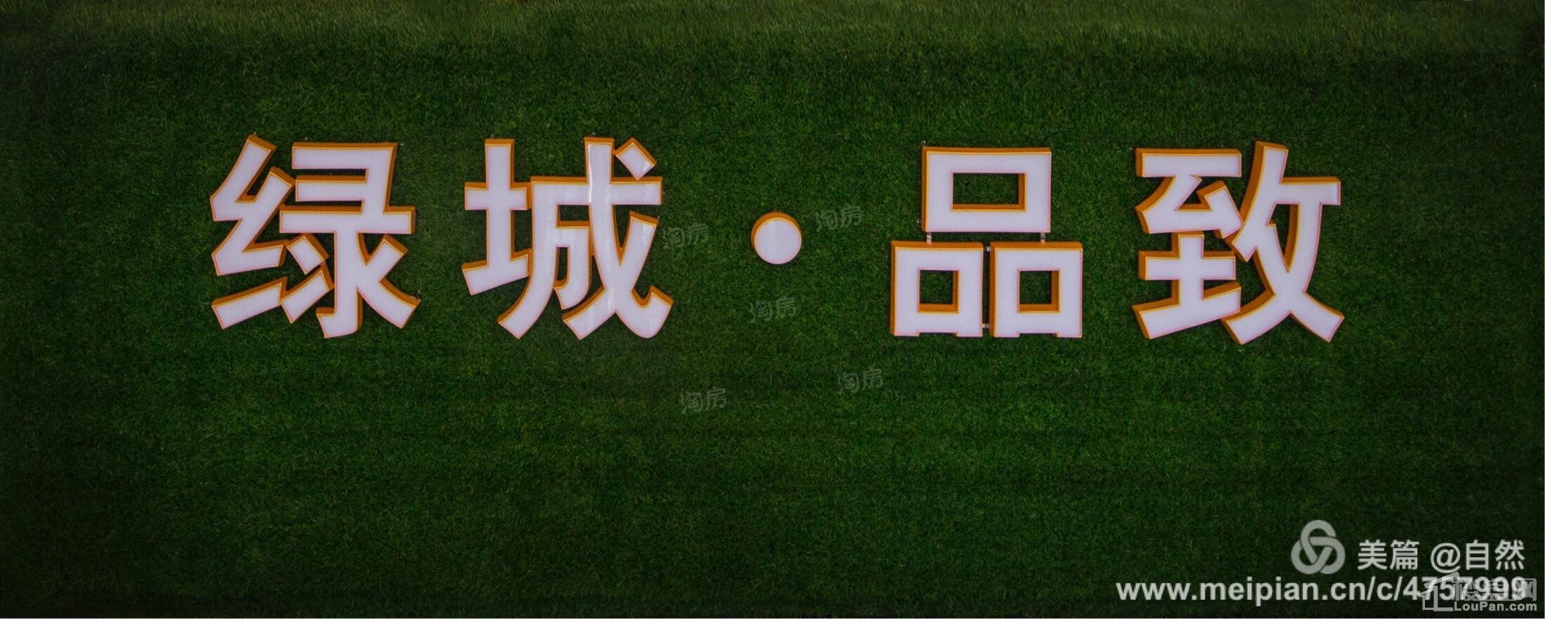 绿城·品致实景图