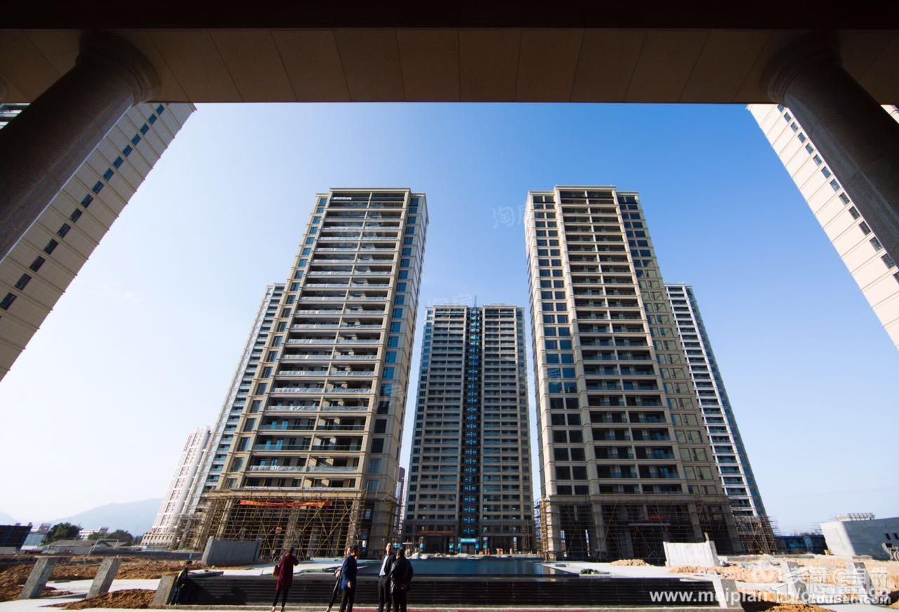 绿城·品致实景图