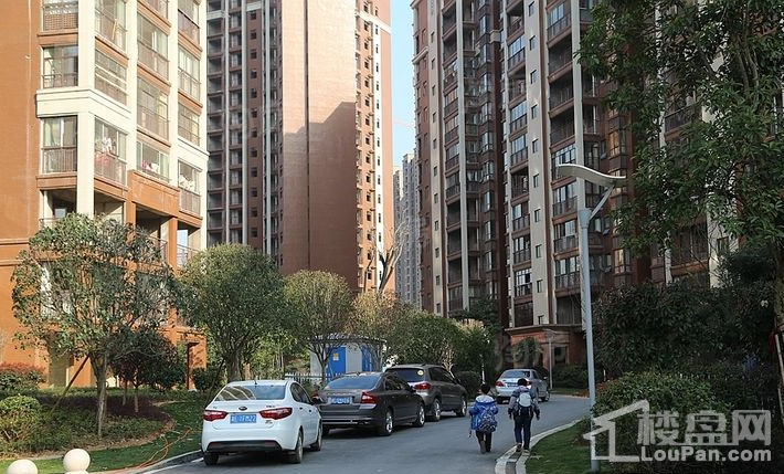 世纪豪庭实景图