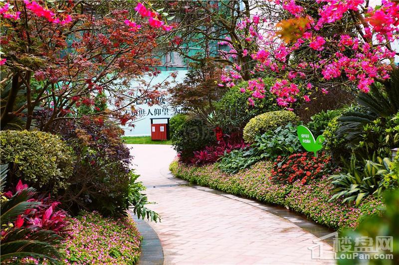 邵阳恒大华府实景图