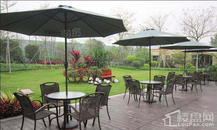 绿湖国际城实景图