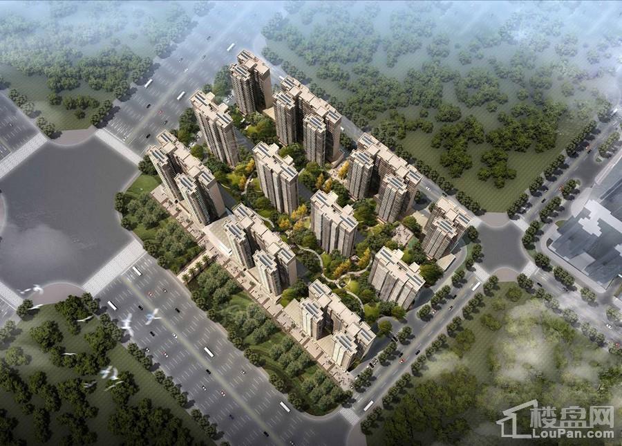 金科观天下效果图