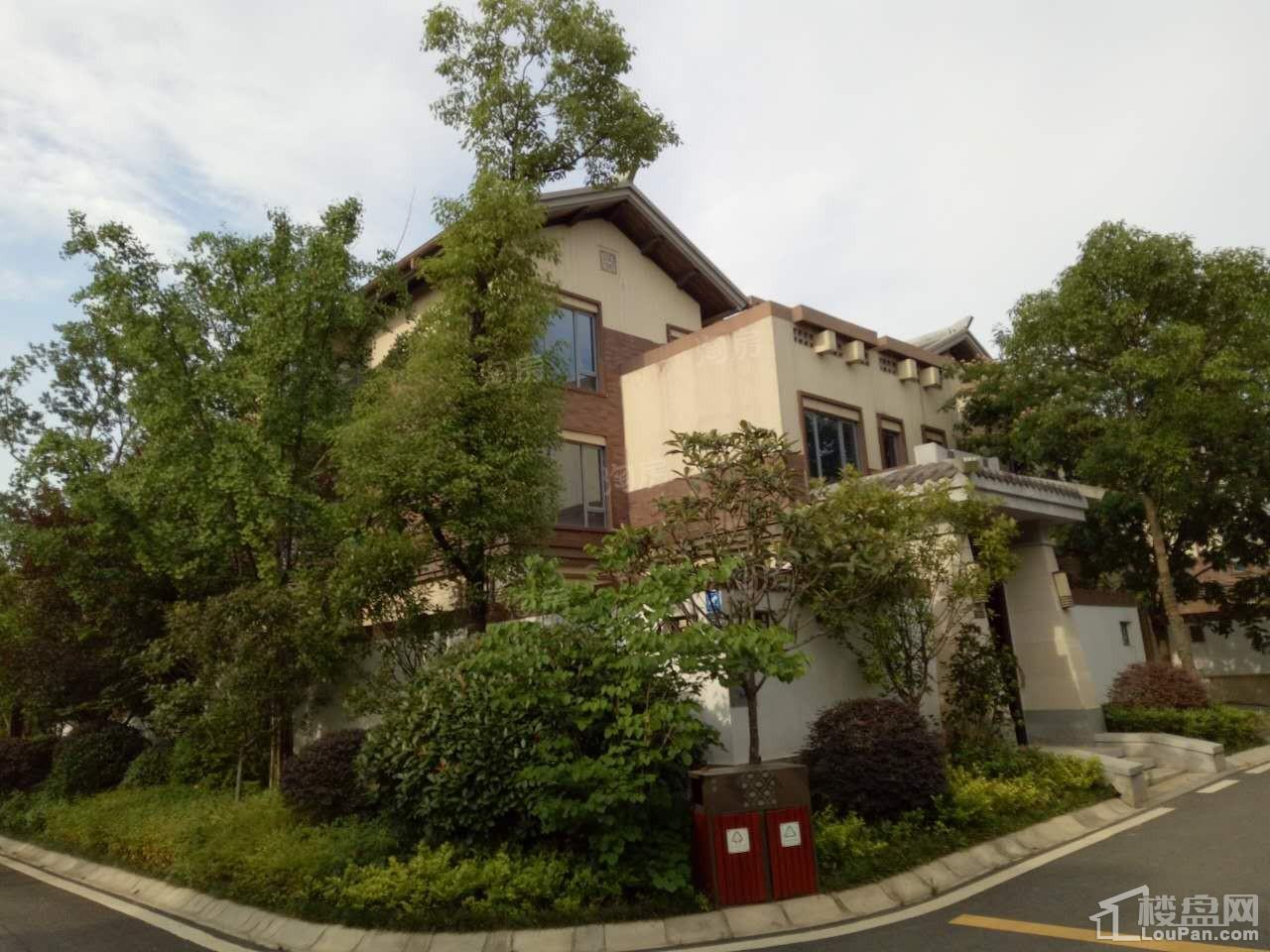 大汉汉园实景图