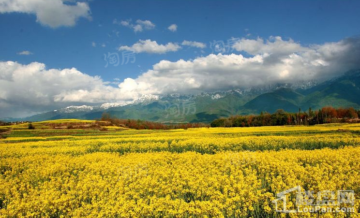 雅居乐云南原乡实景图