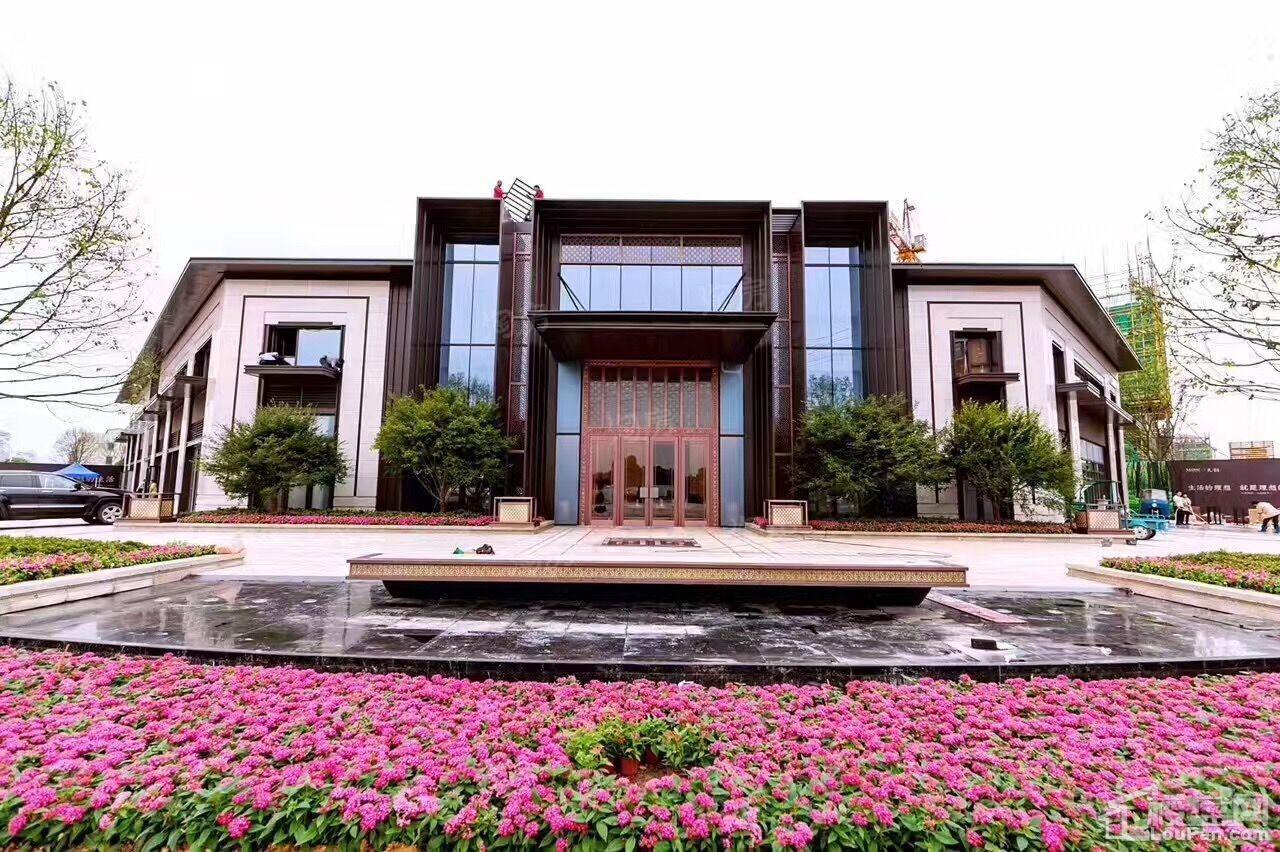 红星天铂实景图