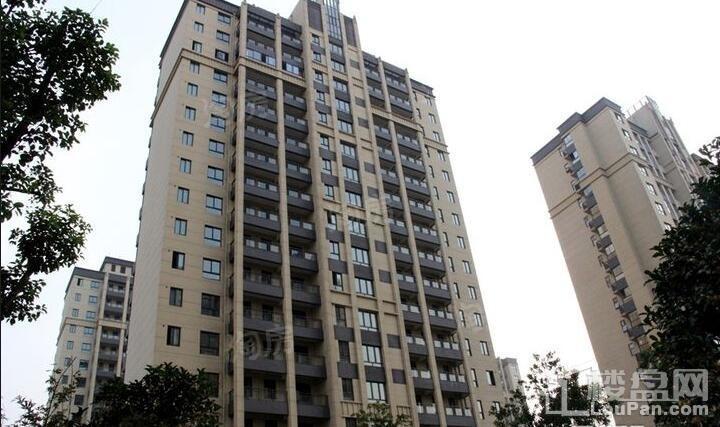 宝能睿城实景图