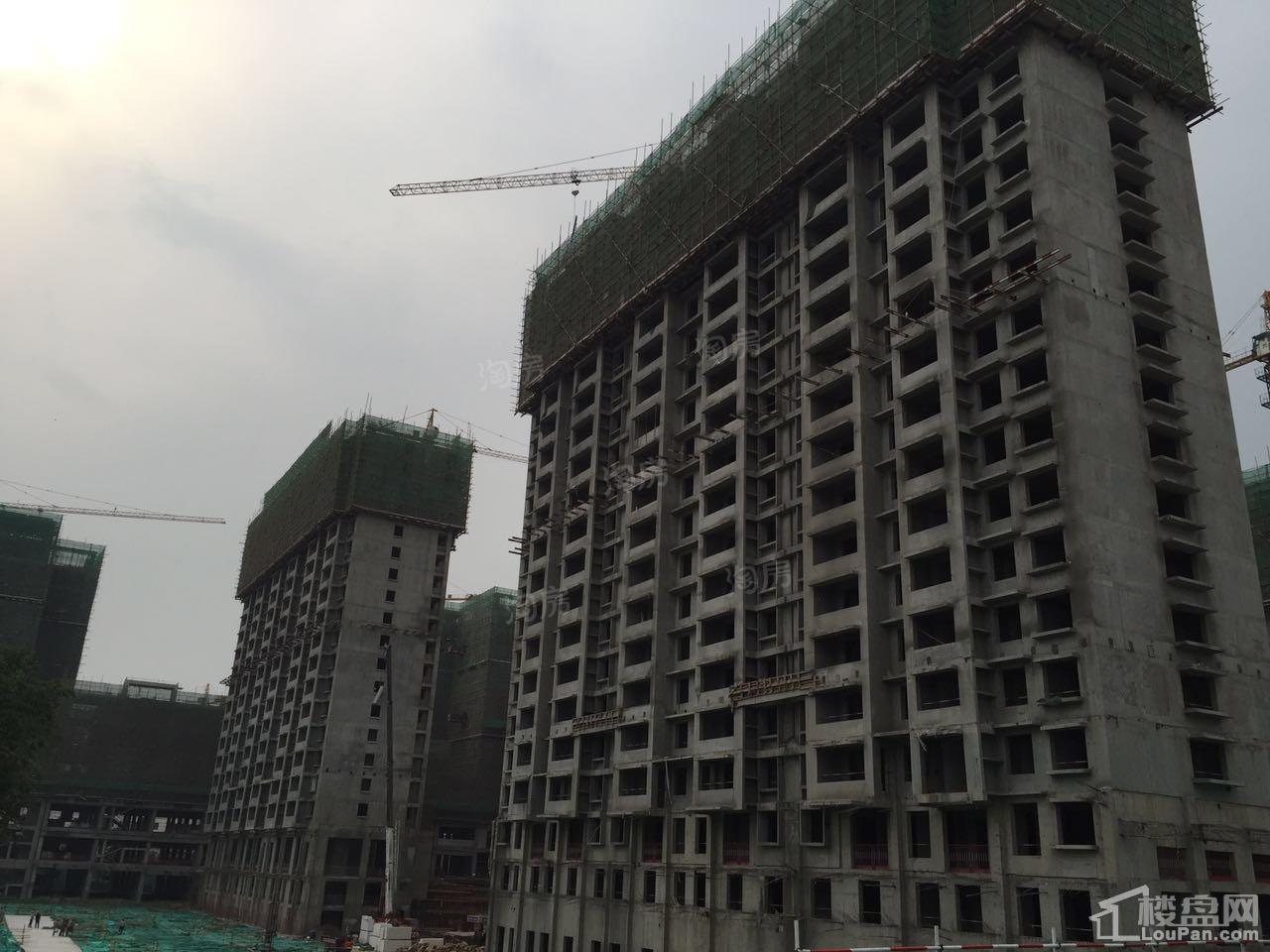 实景图
