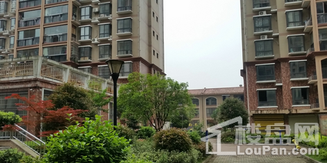 实景图