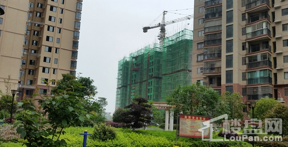 绿景·盛世豪庭实景图