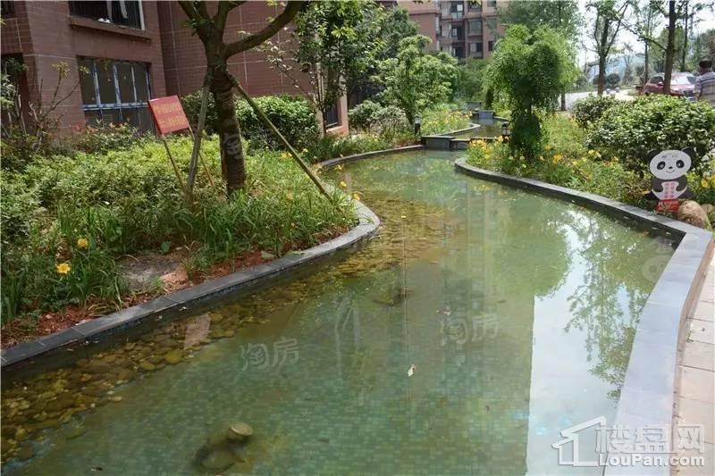 中天·宝电馨城实景图