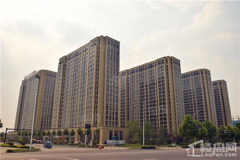 实景图