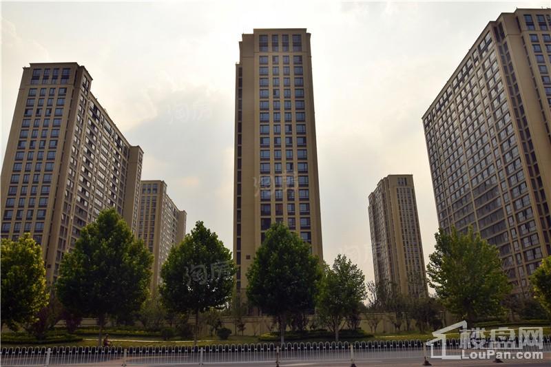 淄博绿城·百合花园紫薇园实景图