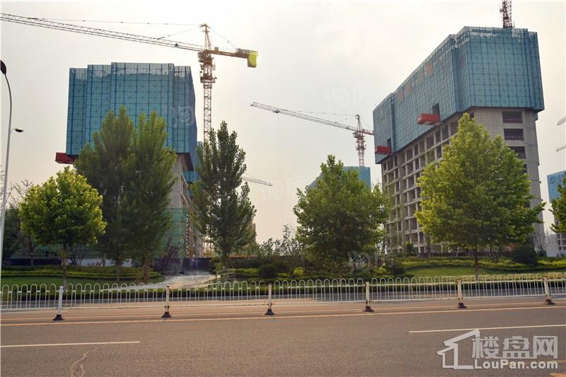 淄博绿城·百合花园紫薇园实景图