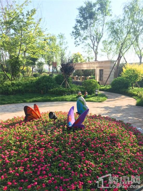 天煜·嘉澜地实景图