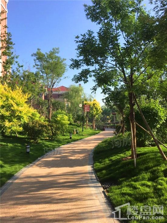 天煜·嘉澜地实景图