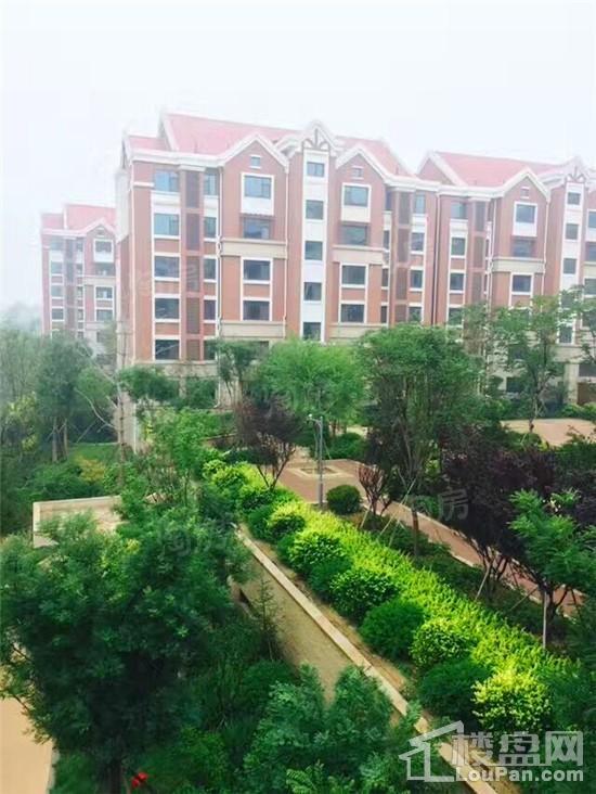 天煜·嘉澜地实景图