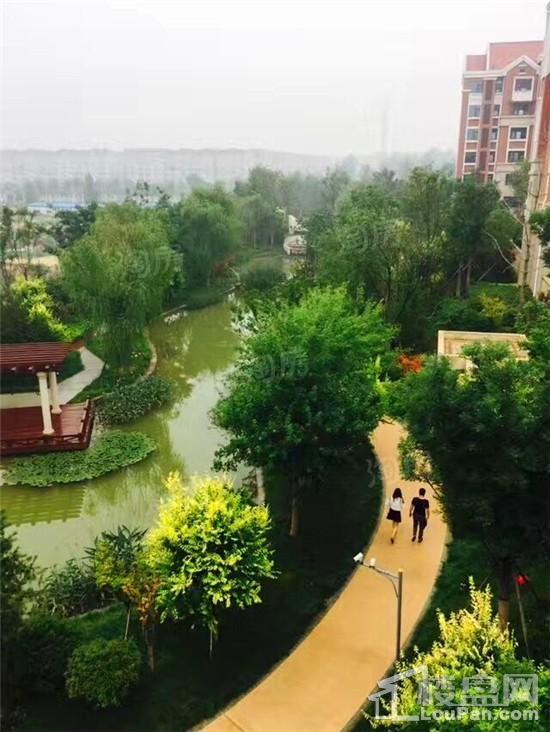 天煜·嘉澜地实景图