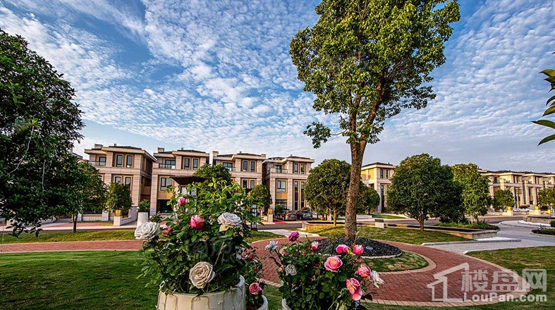 缤虹星城实景图