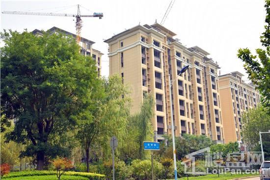 天煜·信园实景图